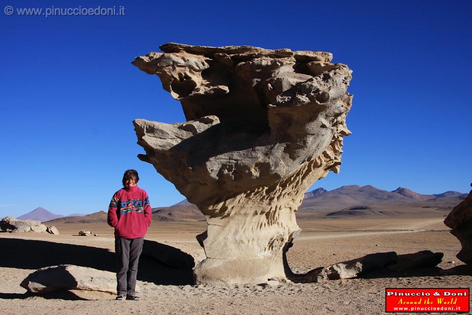 BOLIVIA 2 - Albero di Pietra - 1.jpg